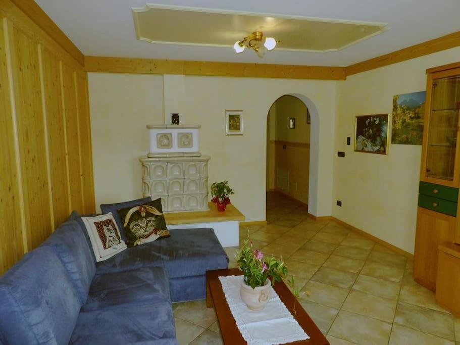 Апартаменты Ciasa Gran Panorama Моэна Экстерьер фото